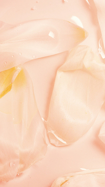 结婚当天新娘跑了的小说