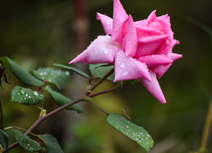 1200元一桌的宴席菜单