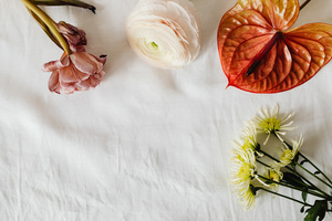 今年安床哪个方位 安床应该朝那个方向？