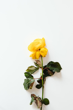 给干爹写请帖怎么称呼 写请帖给干爹用什么称呼？