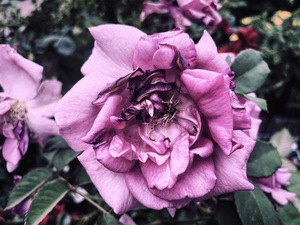 索引颜色模式包含多少种颜色 索引颜色模式的图像包含多少种颜色