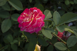 结婚怎么邀请不联系的朋友