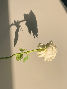 订婚桌子上摆什么东西 订婚桌子上摆什么东西