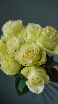 真玉在灯光下是什么样