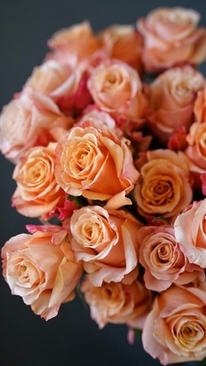 用气球做婚礼布置 婚礼上气球如何做装饰？？？