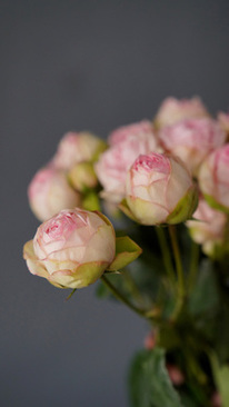 女生嫁人户口是不是也跟过去 农村女孩出嫁之后户口是跟着男方吗?