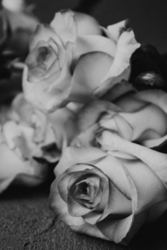 结婚婚房布置要准备哪些东西 结婚新房，需要布置大大小小什么东西?