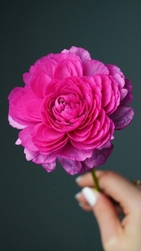 丧事礼金信封怎么写 葬礼礼金信封上怎么写