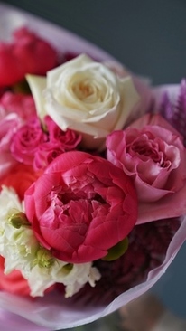 同学婚礼讲话 同学结婚，我应该怎么讲话祝福