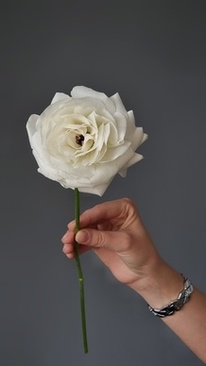 婚车装饰需要哪些材料 自己装饰婚车需要准备什么