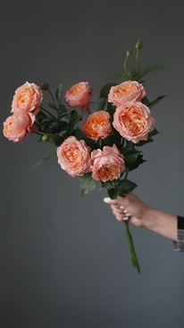 冬天穿什么样子的婚鞋 冬天结婚,婚鞋买的是什么样子的