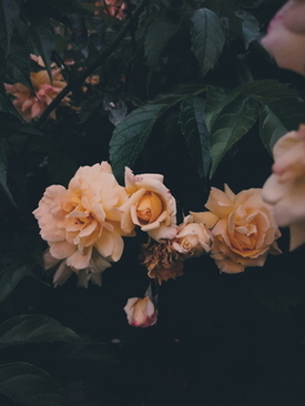 自己怎么制作邀请函 如何制作电子邀请函