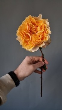 不知道买什么衣服适合自己 不会买衣服，不知道自己适合什么衣服。