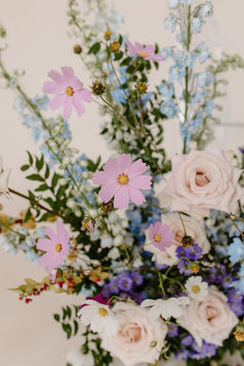 方案怎么写范文 方案怎么写