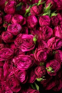 结婚住酒店需要布置吗