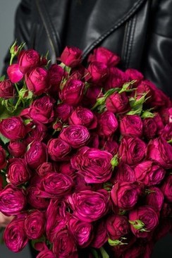 姐妹结婚要说些什么 姐姐要结婚了，妹妹要说什么祝福话？