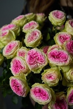 当伴郎要买烟花嘛