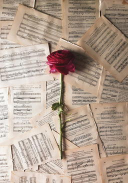 订婚礼单书写大全图片 怎么写订婚礼单 订婚礼单格式