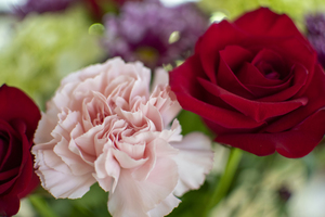 红色礼服配什么颜色手捧花图片 红色婚纱应该搭配什么颜色的捧花？