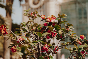 适合公司年会开场音乐