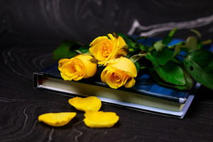 婚庆包括些什么东西 婚庆包括哪些项目？