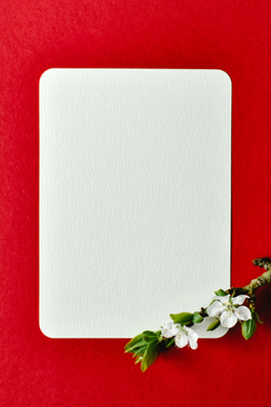 参加婚礼穿白色衣服可以吗 参加婚礼能穿白色衣服吗