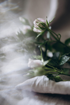 农村在家举行婚礼流程 农村办婚礼要弄婚庆吗?