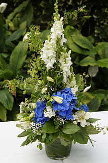 最新接亲堵门游戏 接新娘堵门游戏有哪些