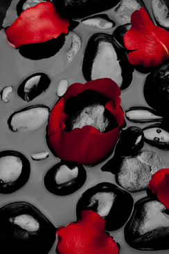 喜烟可以用免税烟吗 免税店烟草能带多少