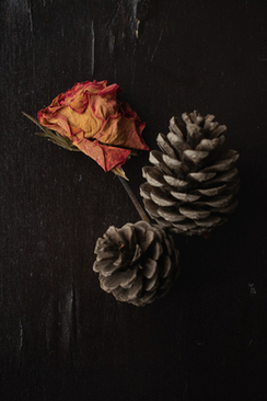 结婚四件套用什么颜色 结婚用什么颜色的四件套更好呢？