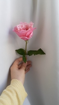 结婚时说什么话 结婚要说什么吉祥话？