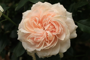 星空风格主题婚礼