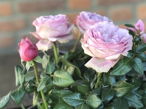 朋友圈的邀请函怎么发 发朋友圈的邀请函怎么写