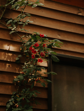 化妆师对新娘温馨提示 化妆师对新娘子的祝福语