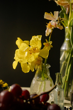 婚庆一般包括哪些项目 婚庆包括哪些项目？