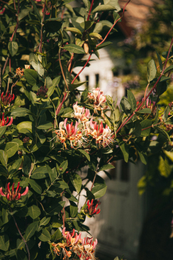 新娘试妆新郎要去吗