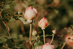 结婚嫁妆被烧好吗 结婚的嫁妆被火烧了是什么寓意?