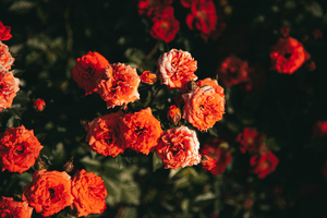 结婚穿婚纱里面穿什么内衣 婚纱里面穿什么内衣