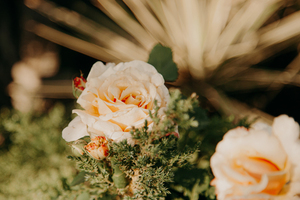 答谢客户宴请柬怎么写 答谢宴请帖怎么写