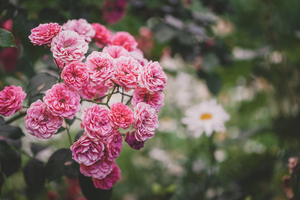 领结婚证衣服要自己带吗 办结婚证要穿自己的衣服还是规定