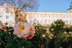 结婚当天新娘要背包吗 结婚当天新娘必须得拿红色的包吗