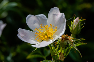 今年流行什么颜色的卫衣女 今年流行什么样的卫衣女