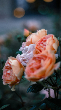 结婚白纱穿什么鞋子 结婚穿白纱配什么颜色鞋