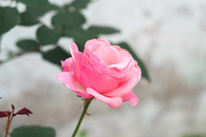 女生结婚晚上穿什么 结婚时,新娘晚上穿什么衣服最适合?