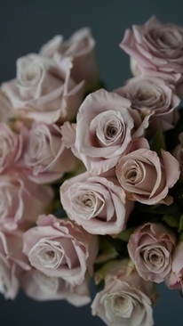 结婚份子钱怎么说 结婚随份子钱该怎么说话