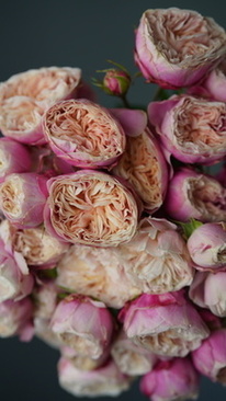 婚礼敬茶怎么敬 婚礼如何敬茶?