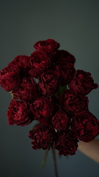 新娘冬季红色大衣搭配