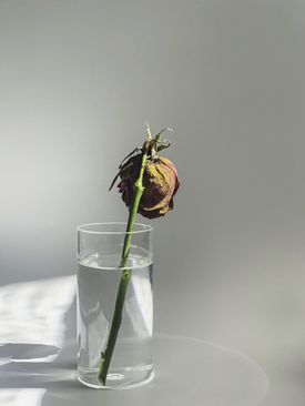 我是主持人节目 求这些 节目的串词,我是主持人