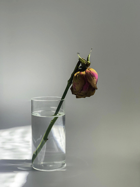 最早的法定结婚年龄是哪个国家 那个国家法定结婚年龄最早？