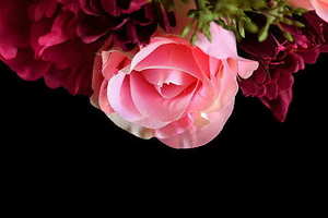 到海边玩穿什么衣服好看 冬天去海边旅游穿什么衣服最合适最好看